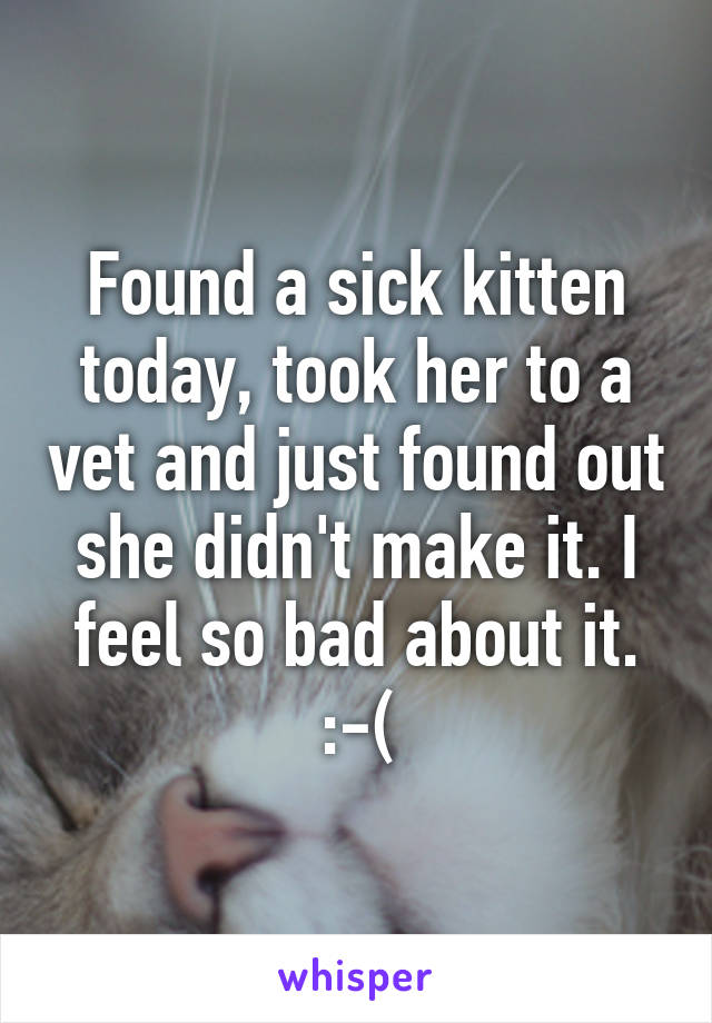 Found a sick kitten today, took her to a vet and just found out she didn't make it. I feel so bad about it. :-(