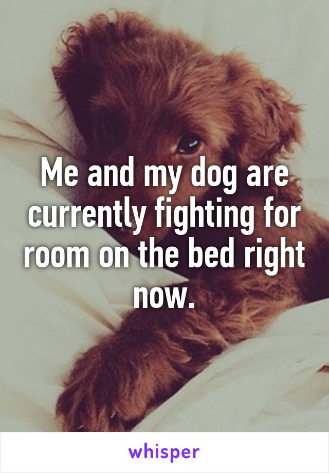 Me and my dog are currently fighting for room on the bed right now.