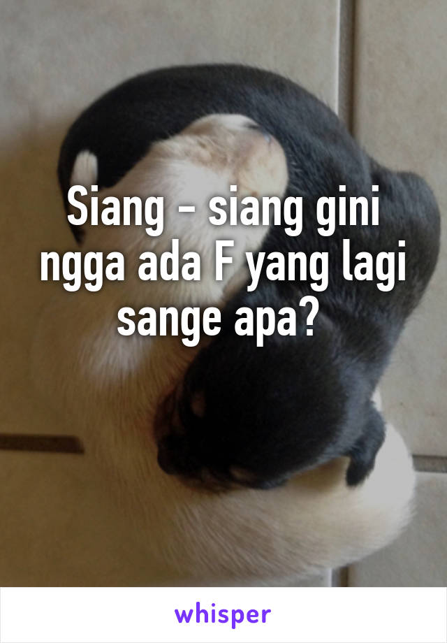 Siang - siang gini ngga ada F yang lagi sange apa? 

