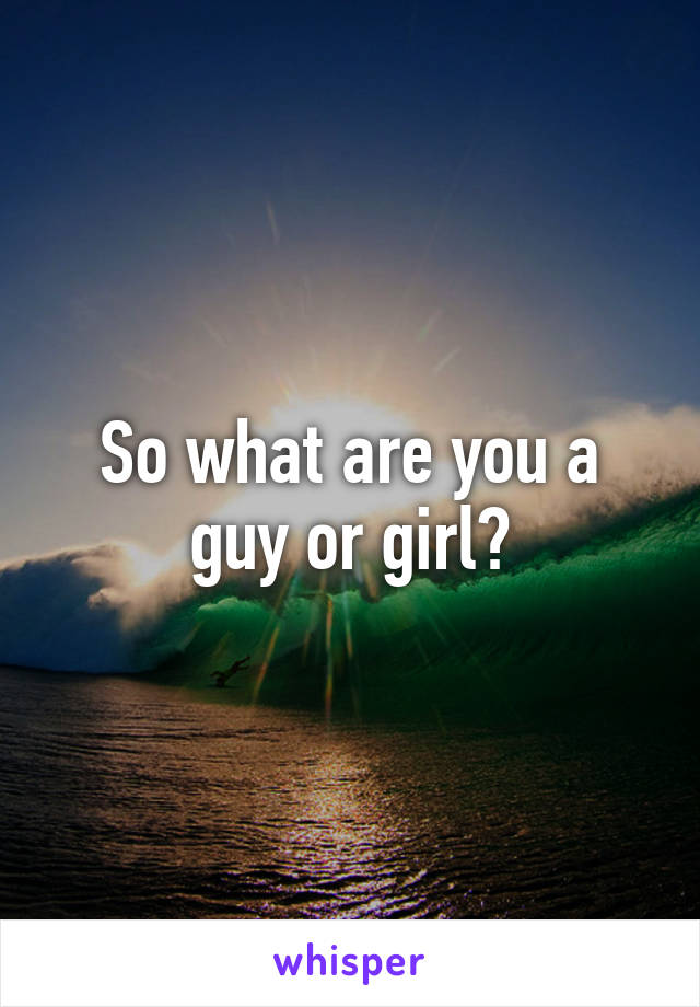 So what are you a guy or girl?