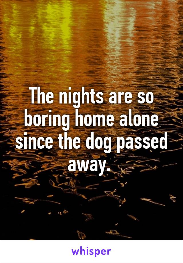 The nights are so boring home alone since the dog passed away. 