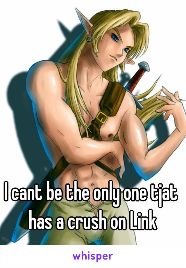 I cant be the only one tjat has a crush on Link