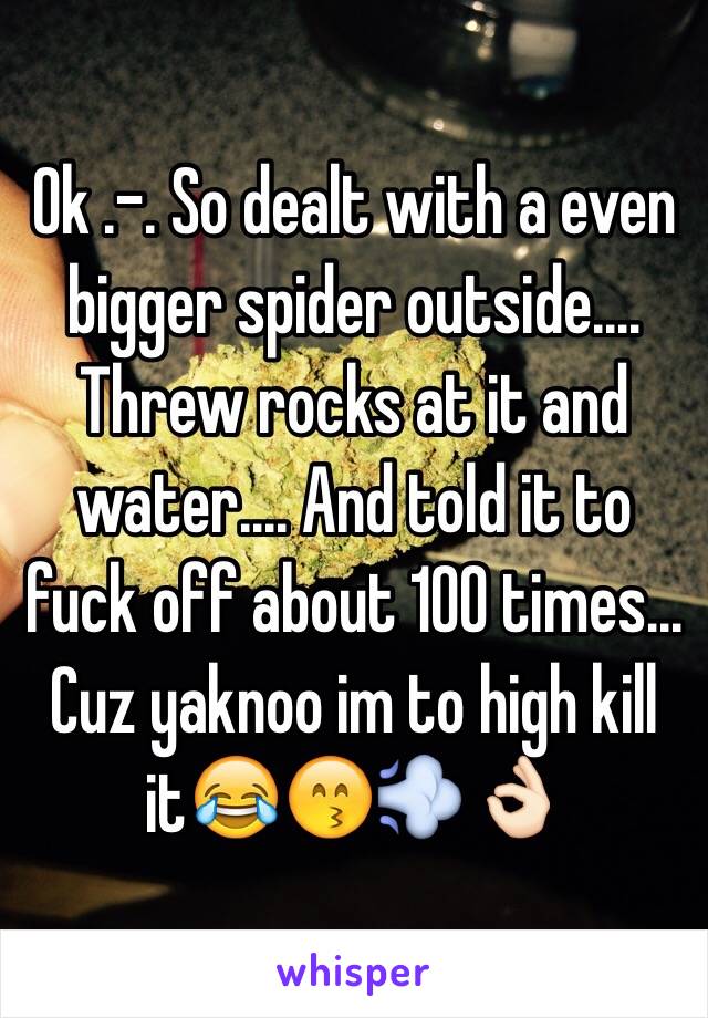 Ok .-. So dealt with a even bigger spider outside.... Threw rocks at it and water.... And told it to fuck off about 100 times... Cuz yaknoo im to high kill it😂😙💨👌🏻