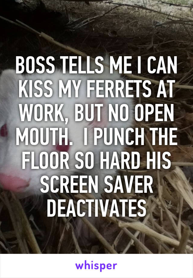 BOSS TELLS ME I CAN KISS MY FERRETS AT WORK, BUT NO OPEN MOUTH.  I PUNCH THE FLOOR SO HARD HIS SCREEN SAVER DEACTIVATES