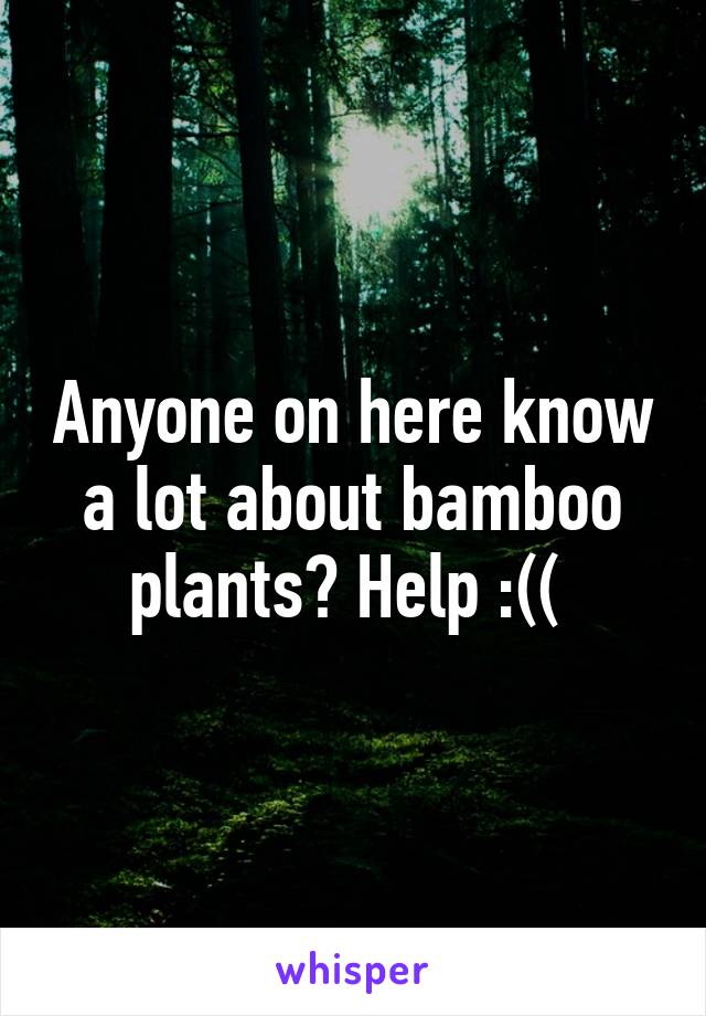 Anyone on here know a lot about bamboo plants? Help :(( 