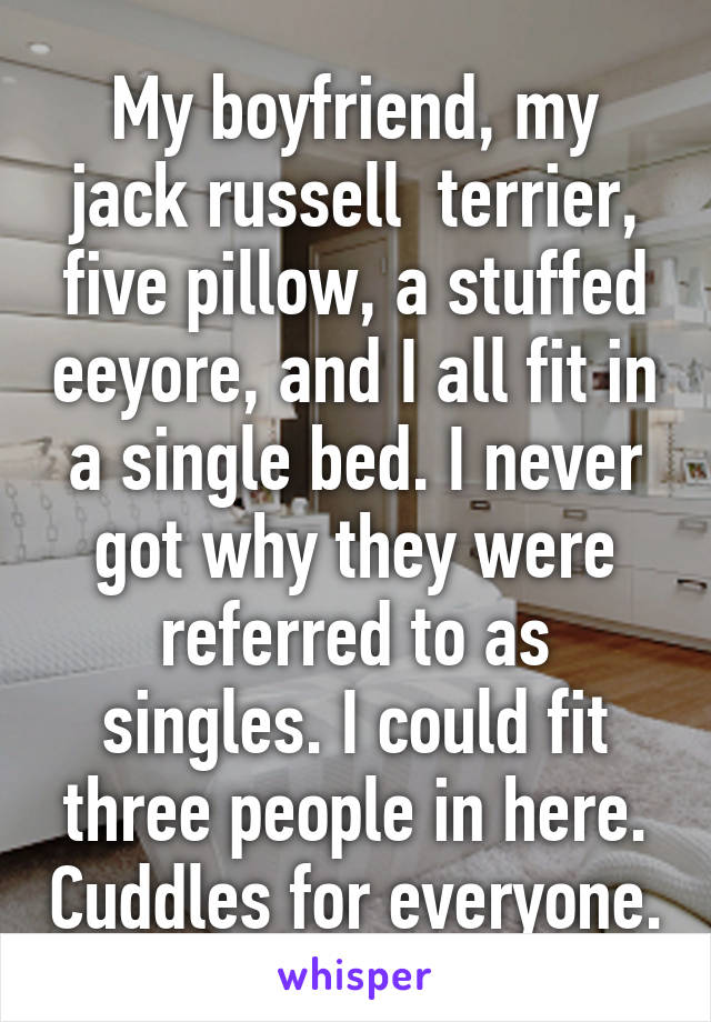 My boyfriend, my jack russell  terrier, five pillow, a stuffed eeyore, and I all fit in a single bed. I never got why they were referred to as singles. I could fit three people in here. Cuddles for everyone.