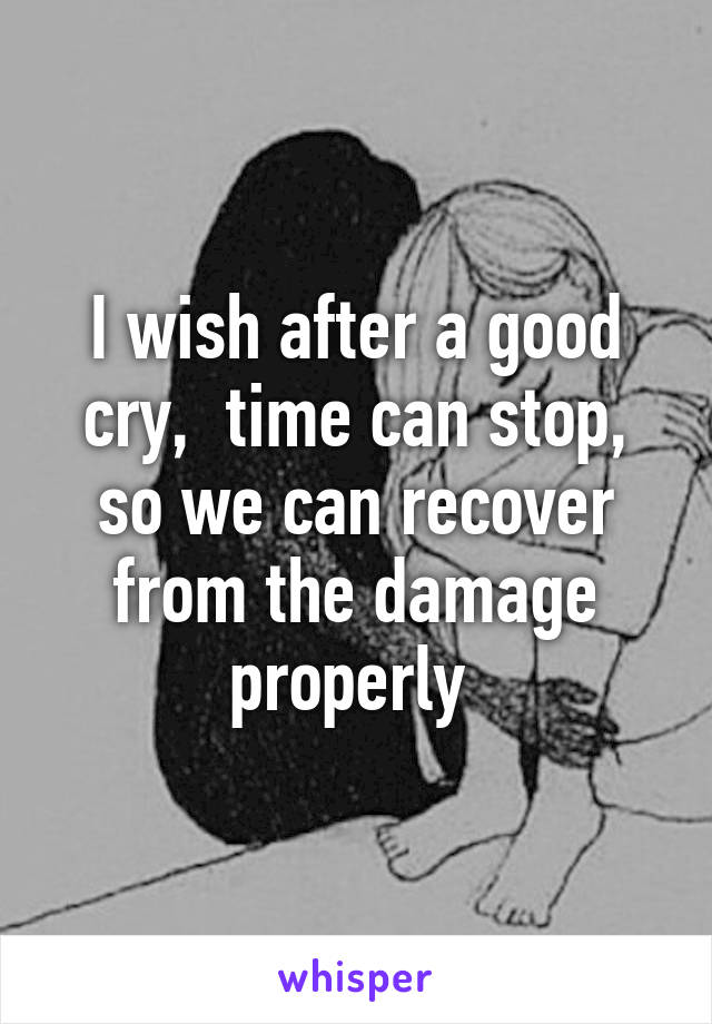 I wish after a good cry,  time can stop, so we can recover from the damage properly 