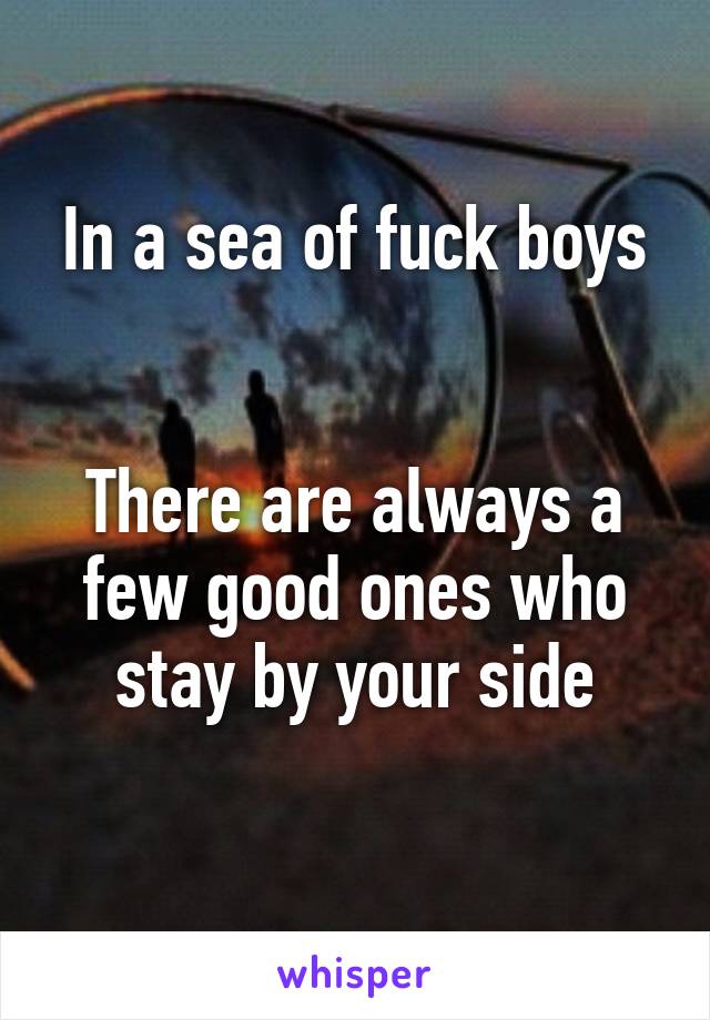 In a sea of fuck boys


There are always a few good ones who stay by your side
