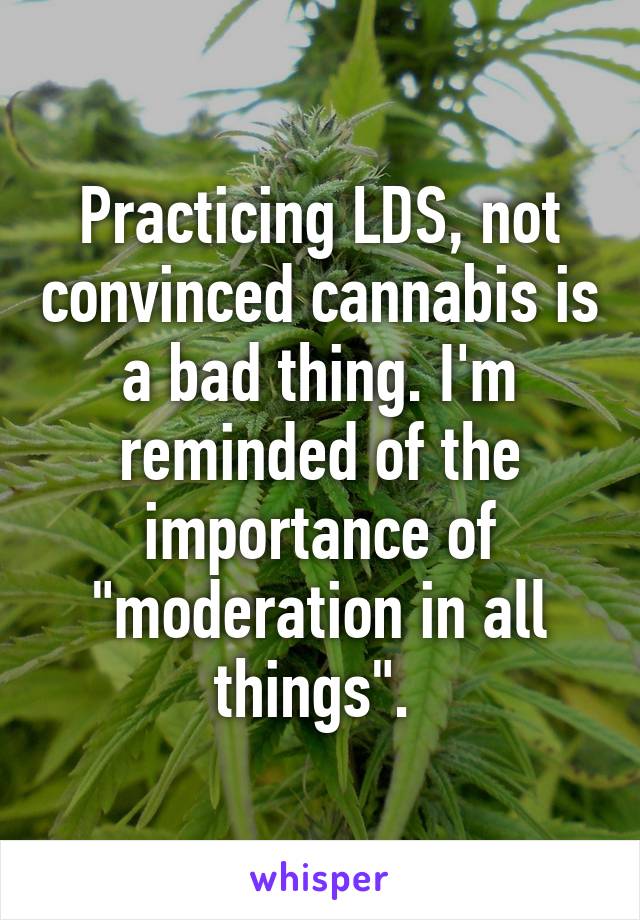 Practicing LDS, not convinced cannabis is a bad thing. I'm reminded of the importance of "moderation in all things". 