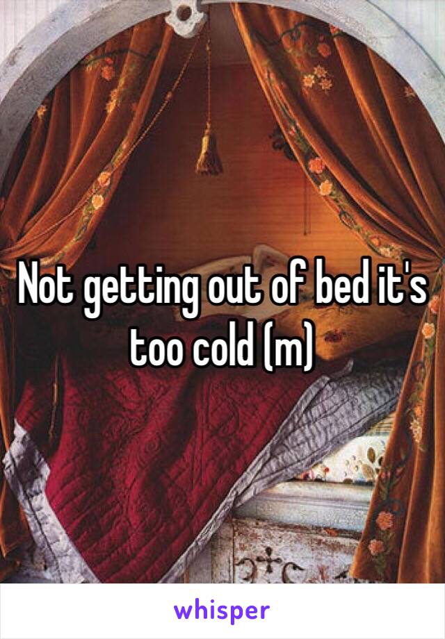 Not getting out of bed it's too cold (m)