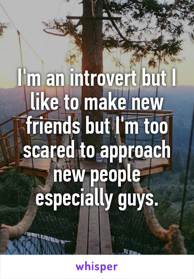 I'm an introvert but I like to make new friends but I'm too scared to approach new people especially guys.