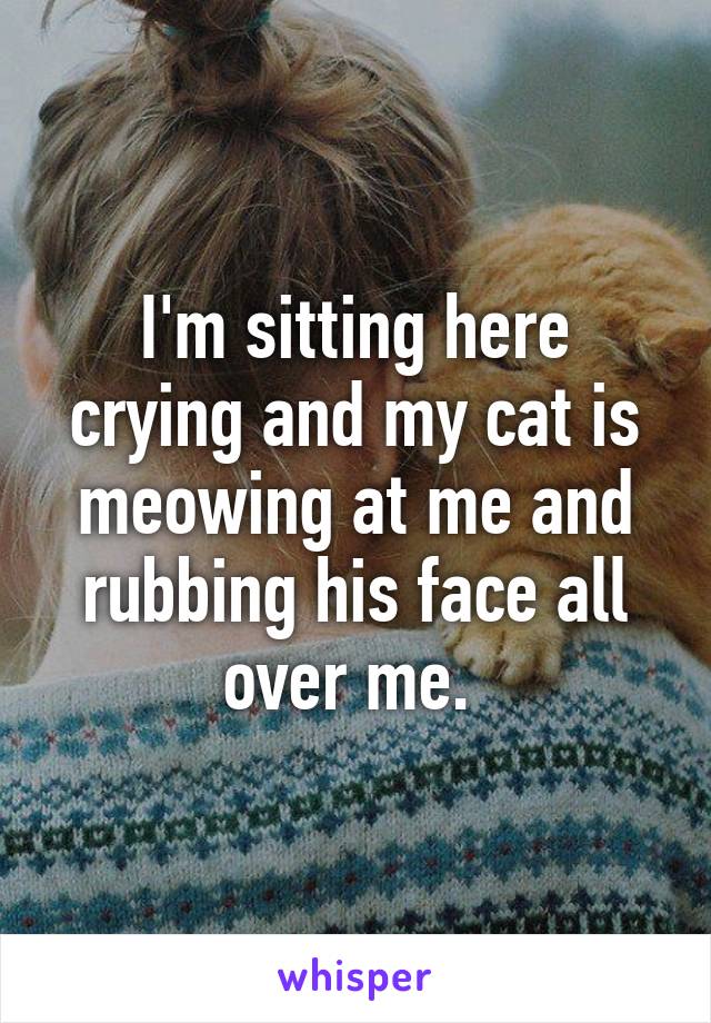 I'm sitting here crying and my cat is meowing at me and rubbing his face all over me. 