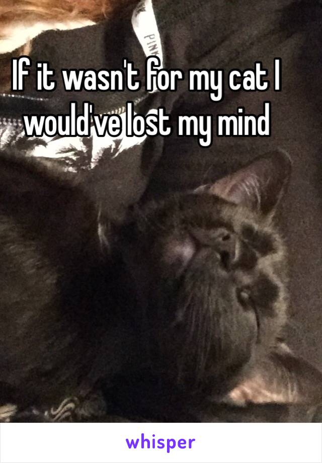 If it wasn't for my cat I would've lost my mind 