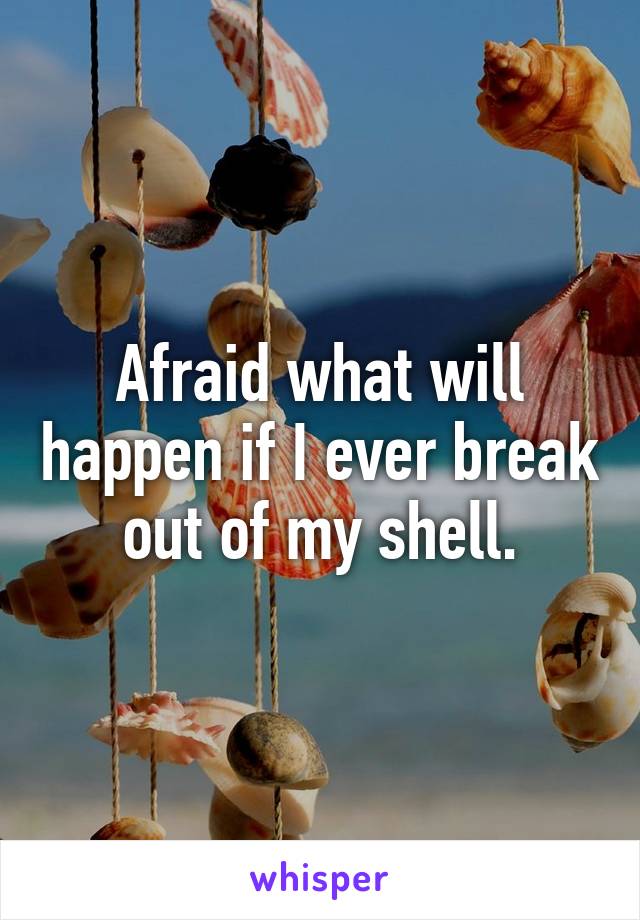 Afraid what will happen if I ever break out of my shell.