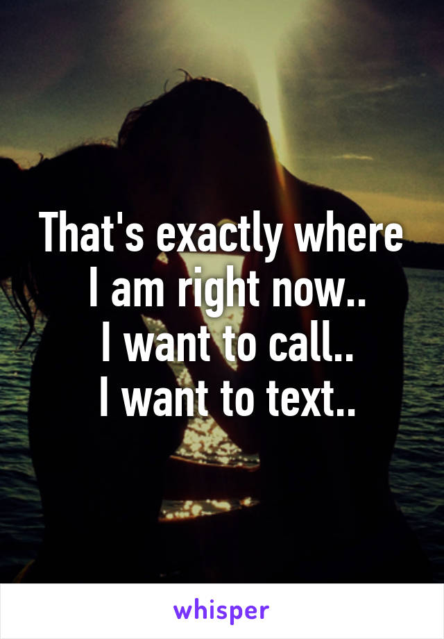 That's exactly where
 I am right now..
 I want to call..
 I want to text..