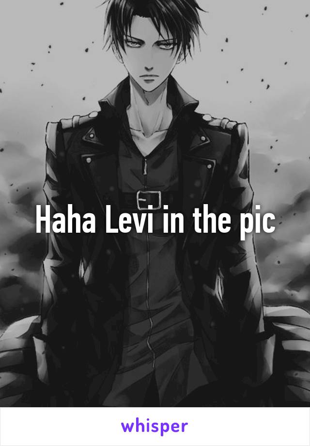 Haha Levi in the pic