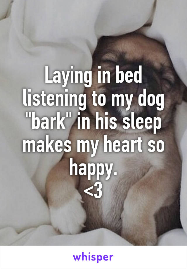 Laying in bed listening to my dog "bark" in his sleep makes my heart so happy.
<3