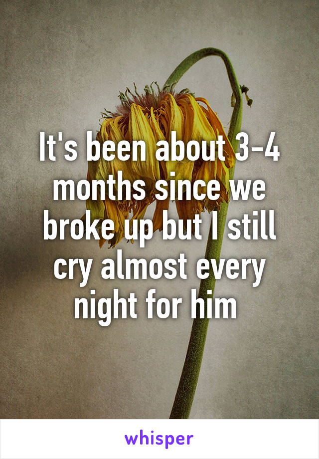 It's been about 3-4 months since we broke up but I still cry almost every night for him 