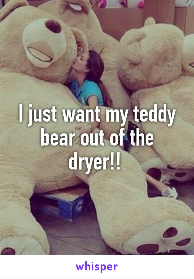 I just want my teddy bear out of the dryer!! 