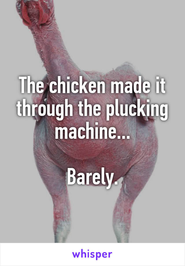 The chicken made it through the plucking machine...

Barely.