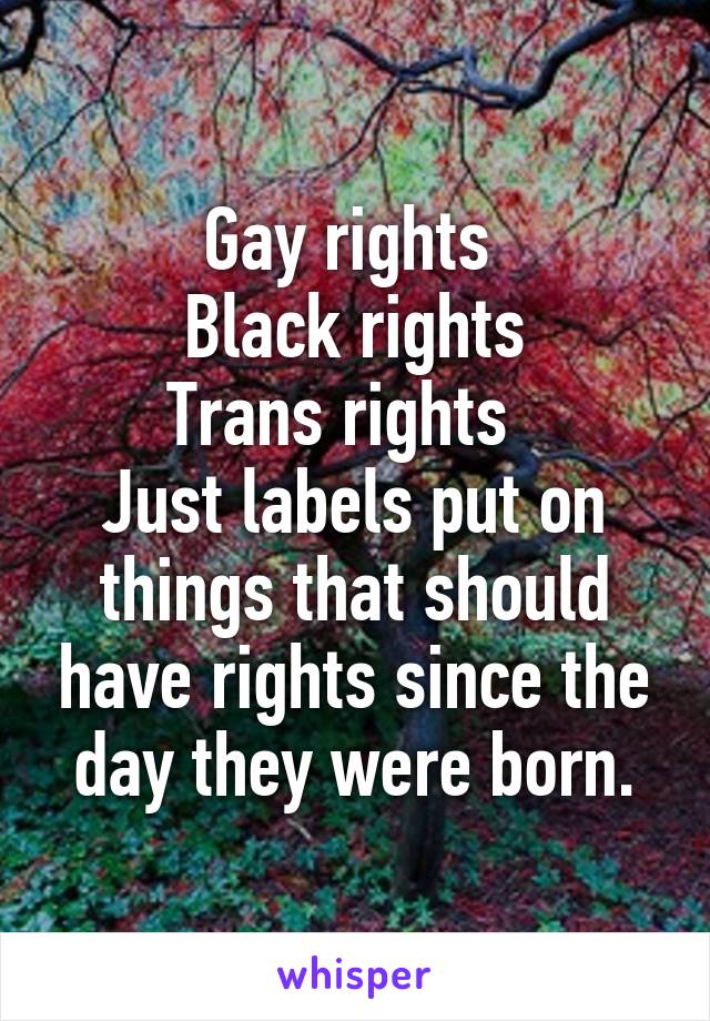 Gay rights 
Black rights
Trans rights  
Just labels put on things that should have rights since the day they were born.