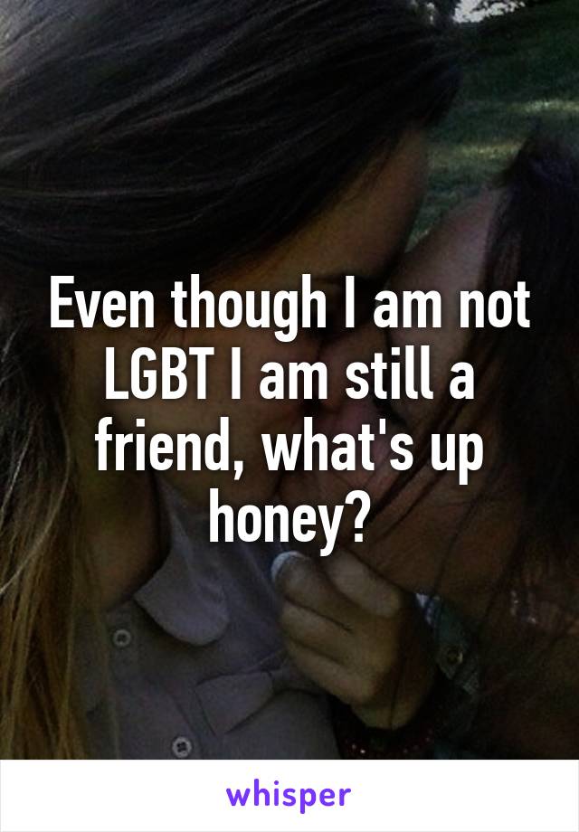 Even though I am not LGBT I am still a friend, what's up honey?