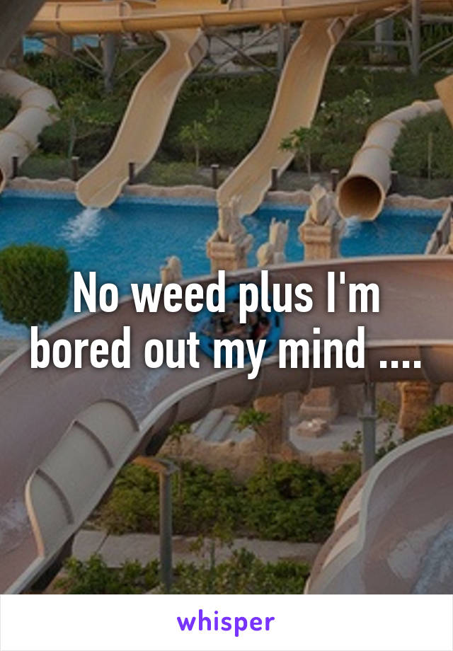 No weed plus I'm bored out my mind ....