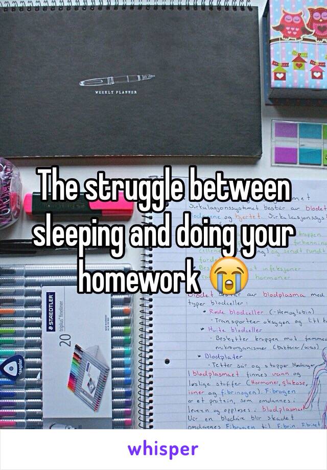 The struggle between sleeping and doing your homework 😭