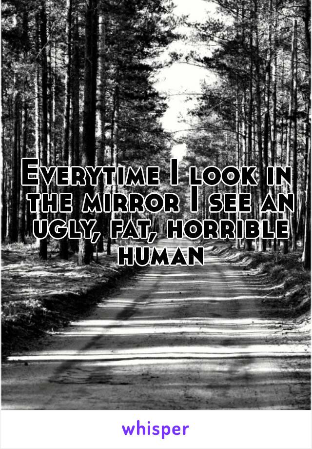 Everytime I look in the mirror I see an ugly, fat, horrible human