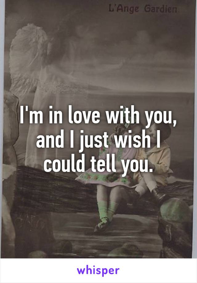 I'm in love with you, and I just wish I could tell you.