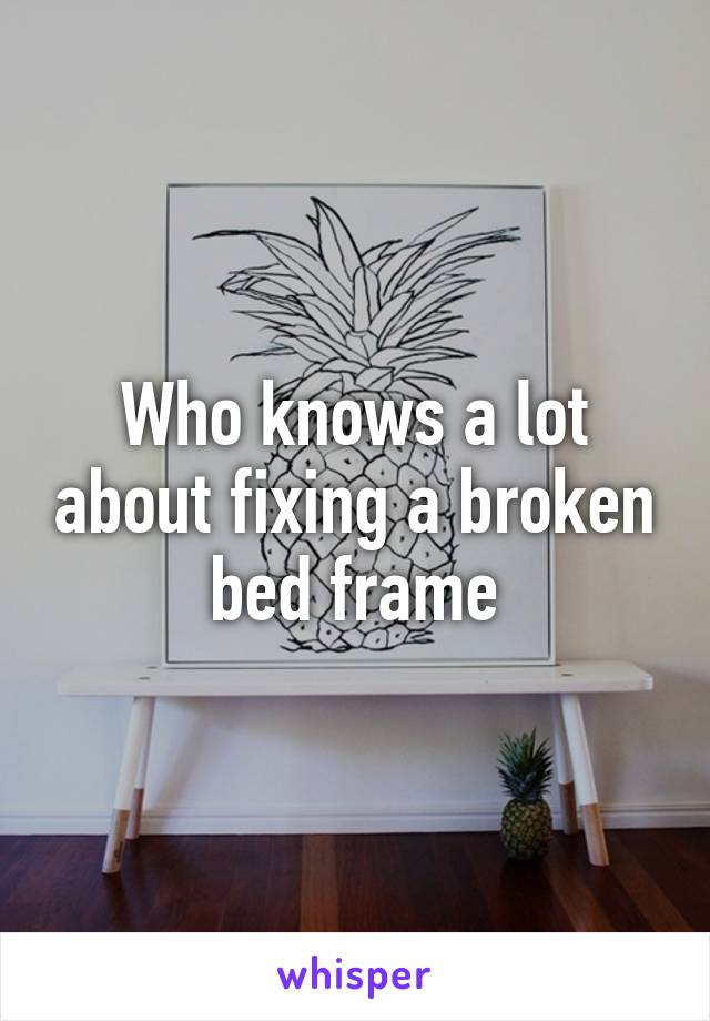 Who knows a lot about fixing a broken bed frame