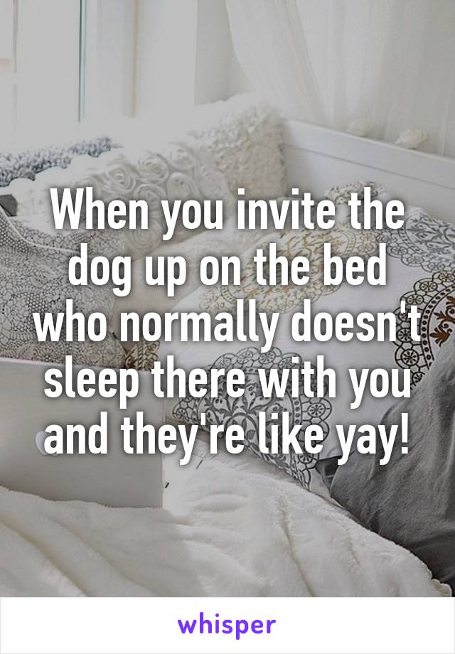 When you invite the dog up on the bed who normally doesn't sleep there with you and they're like yay!