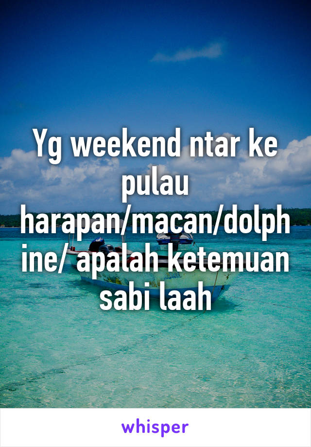 Yg weekend ntar ke pulau harapan/macan/dolphine/ apalah ketemuan sabi laah