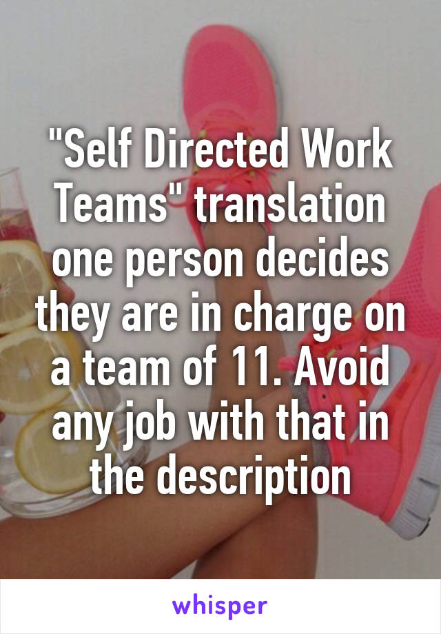 "Self Directed Work Teams" translation one person decides they are in charge on a team of 11. Avoid any job with that in the description