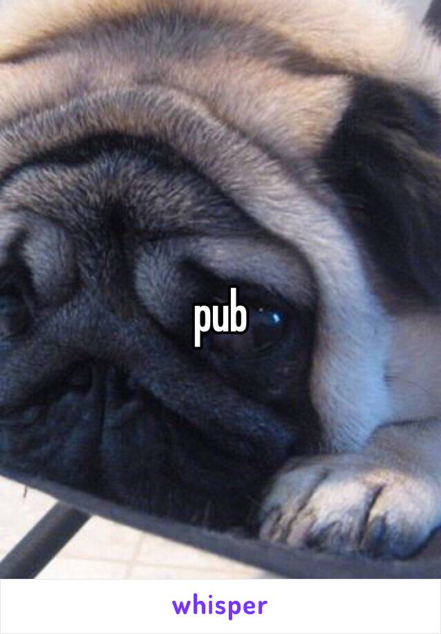 pub