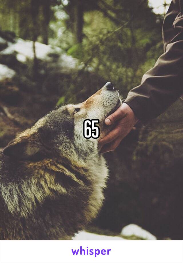 65