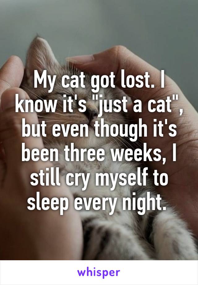 My cat got lost. I know it's "just a cat", but even though it's been three weeks, I still cry myself to sleep every night. 