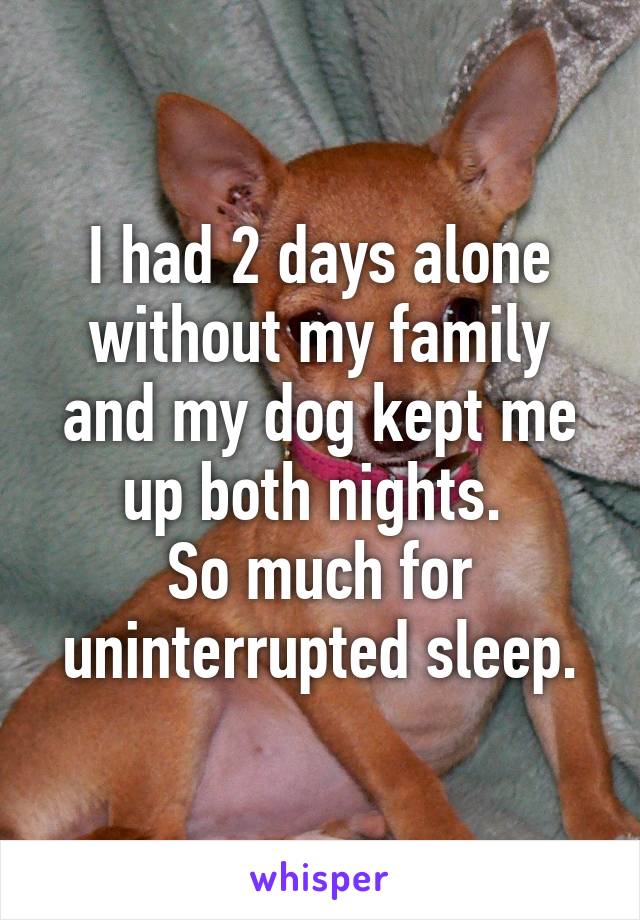 I had 2 days alone without my family and my dog kept me up both nights. 
So much for uninterrupted sleep.