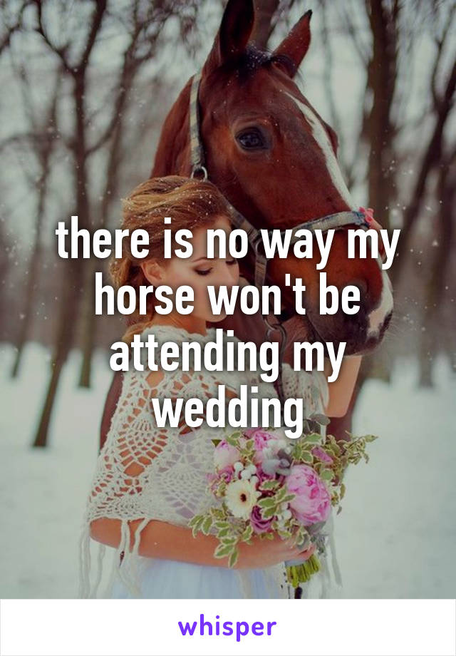 there is no way my horse won't be attending my wedding