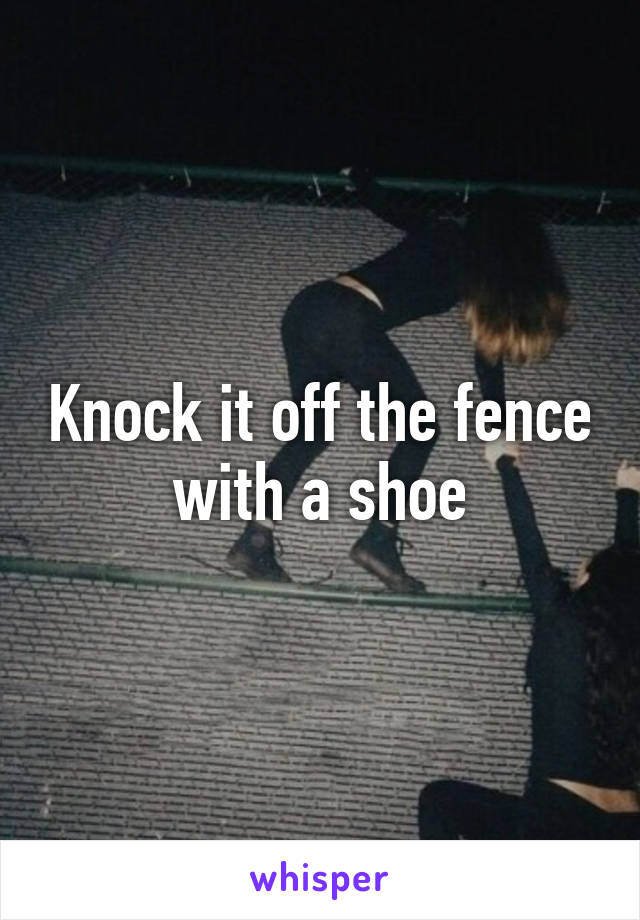 Knock it off the fence with a shoe