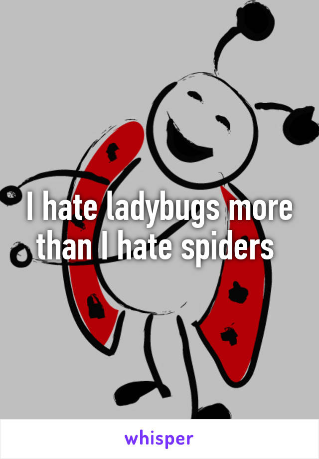 I hate ladybugs more than I hate spiders 