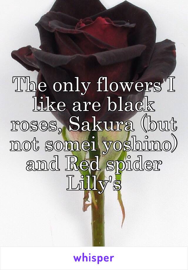 The only flowers I like are black roses, Sakura (but not somei yoshino) and Red spider Lilly's 