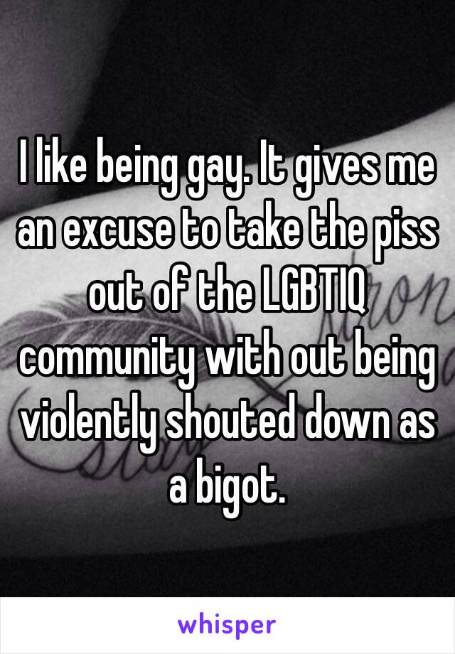 I like being gay. It gives me an excuse to take the piss out of the LGBTIQ community with out being violently shouted down as a bigot.