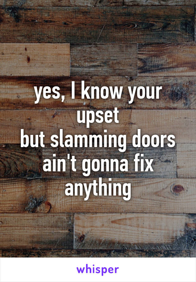 yes, I know your upset
but slamming doors
ain't gonna fix anything