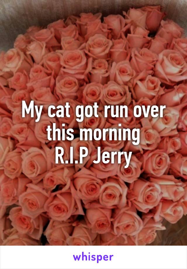 My cat got run over this morning
R.I.P Jerry