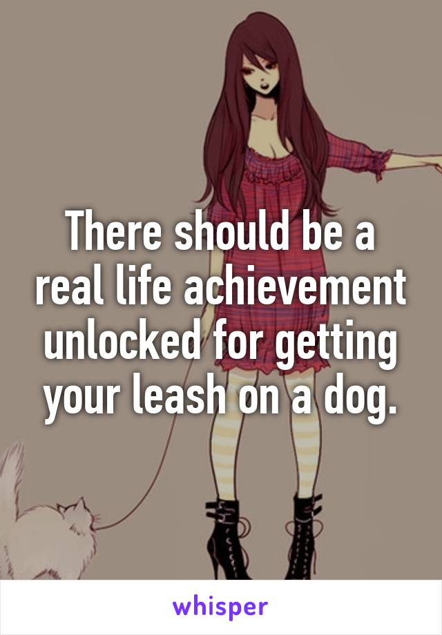 There should be a real life achievement unlocked for getting your leash on a dog.