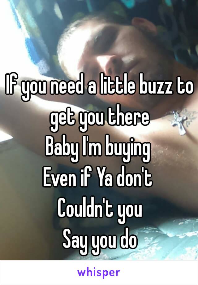 If you need a little buzz to get you there 
Baby I'm buying 
Even if Ya don't 
Couldn't you
Say you do