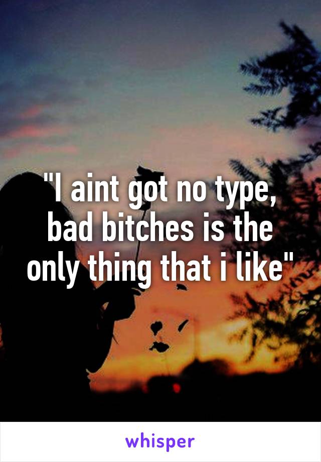 "I aint got no type, bad bitches is the only thing that i like"