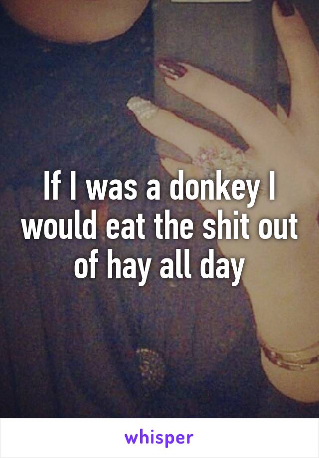 If I was a donkey I would eat the shit out of hay all day