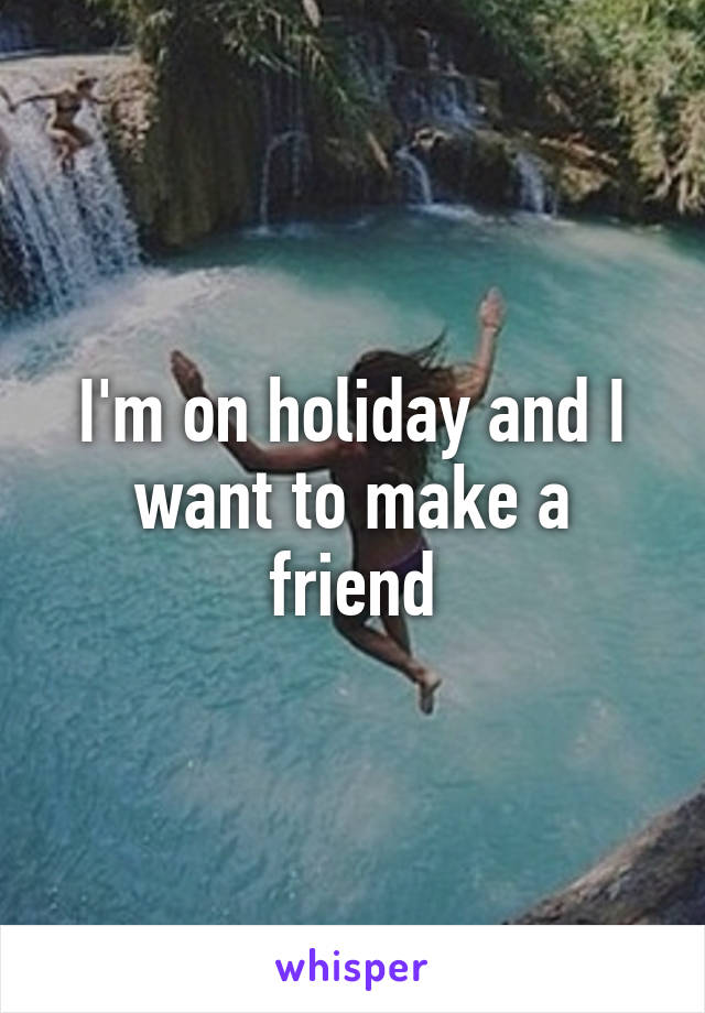 I'm on holiday and I want to make a friend